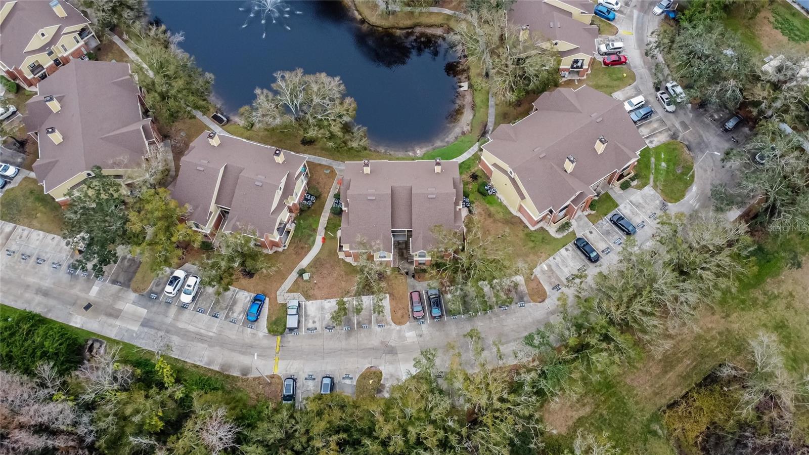 8647 FANCY FINCH DR #203, TAMPA, FL, 33614