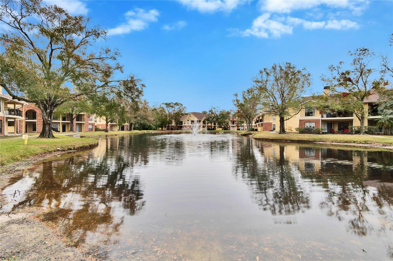 8647 FANCY FINCH DR #203, TAMPA, FL, 33614