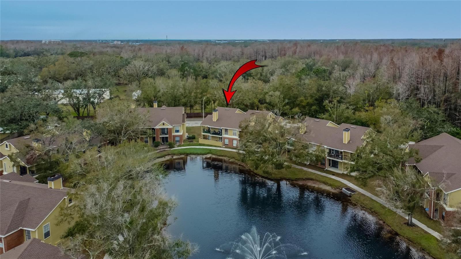 8647 FANCY FINCH DR #203, TAMPA, FL, 33614