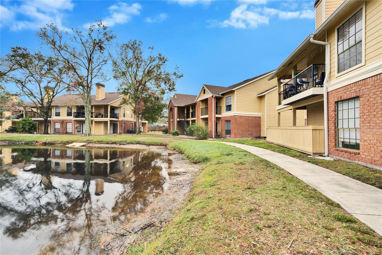 8647 FANCY FINCH DR #203, TAMPA, FL, 33614
