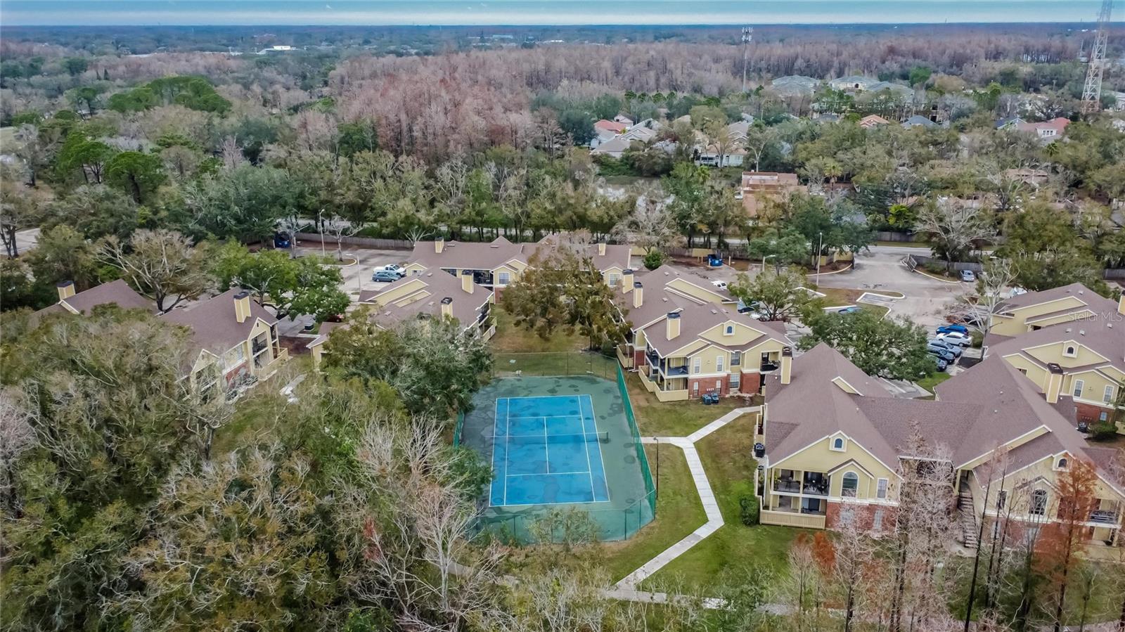 8647 FANCY FINCH DR #203, TAMPA, FL, 33614