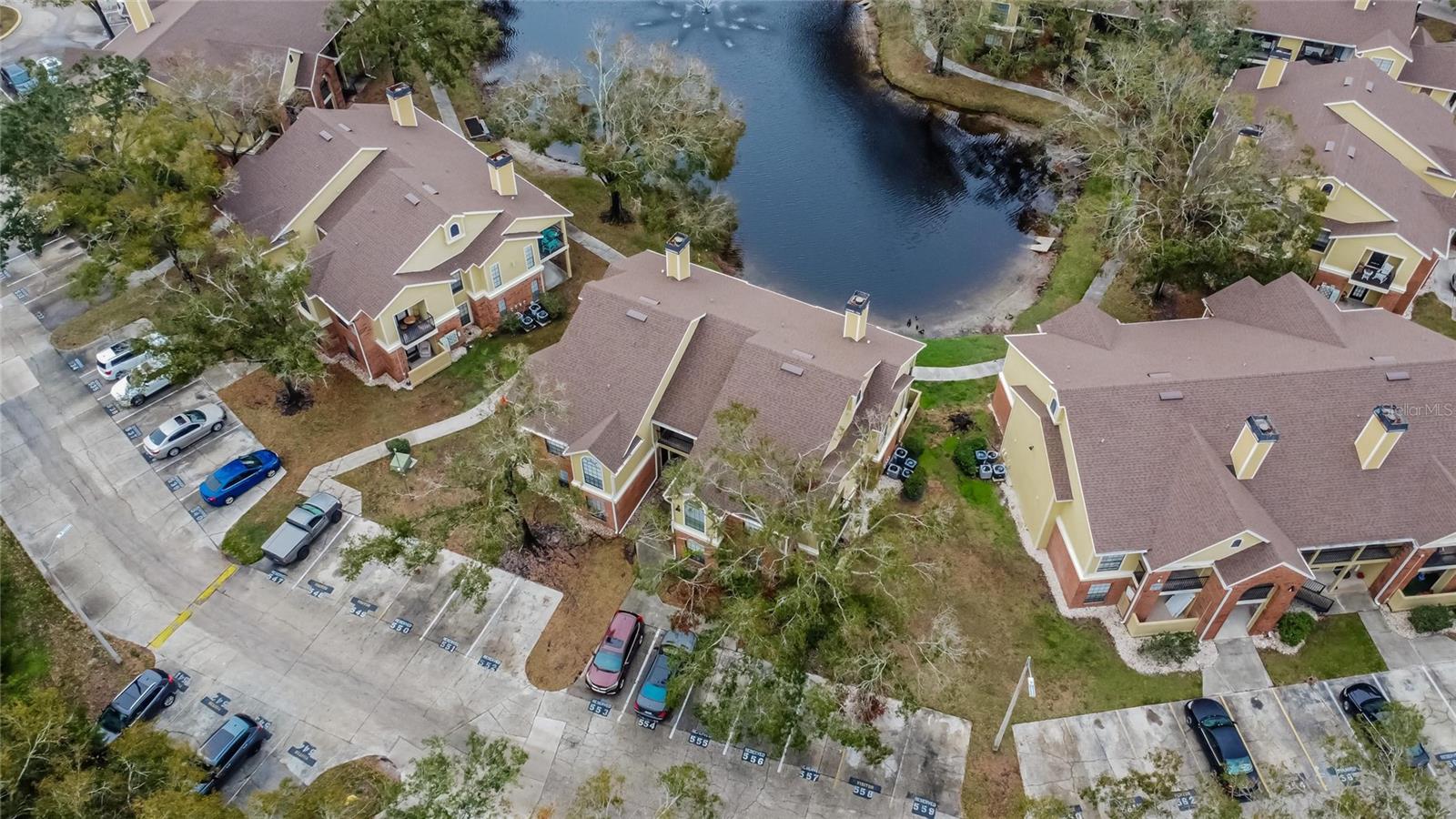 8647 FANCY FINCH DR #203, TAMPA, FL, 33614