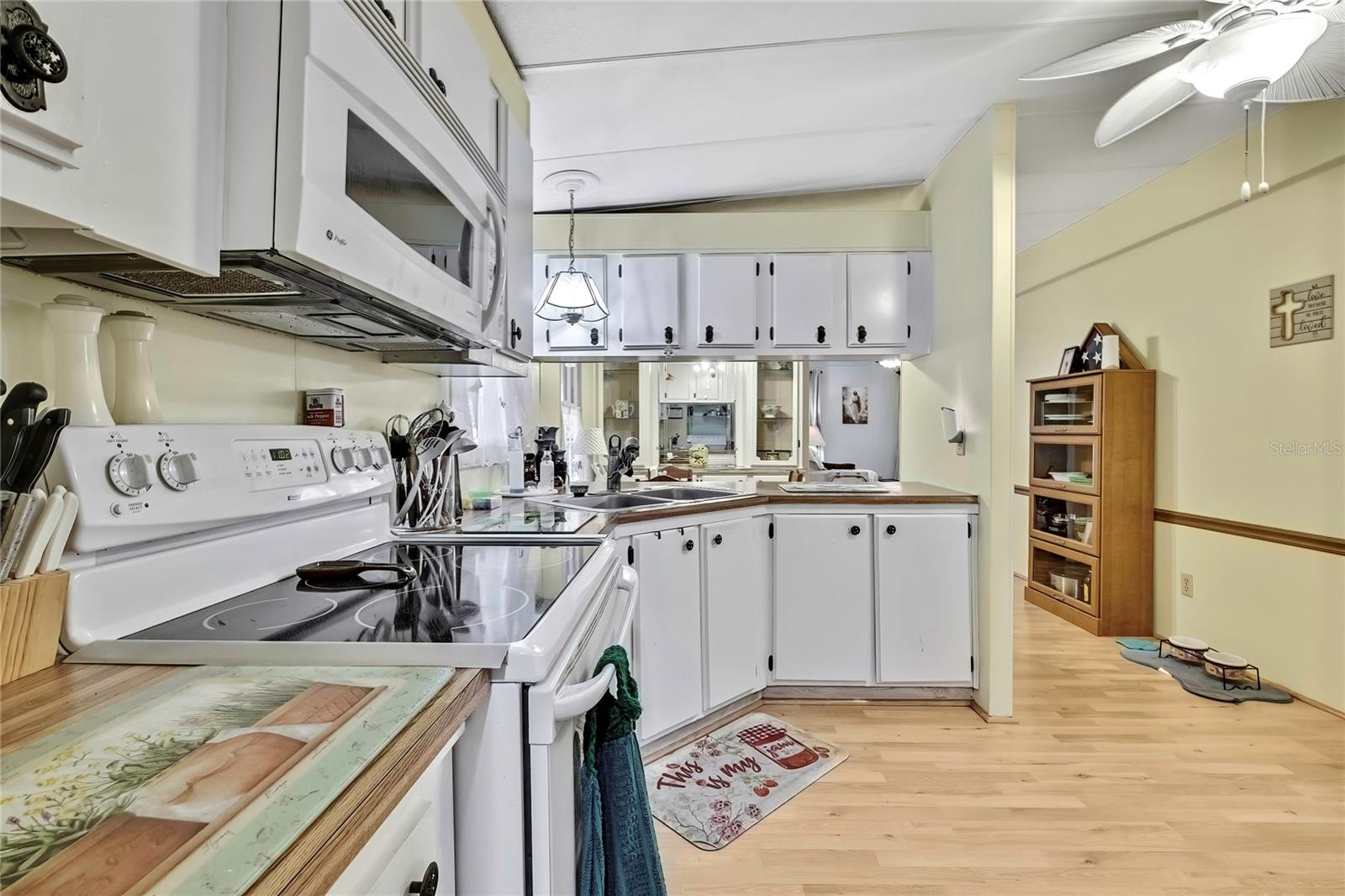 3125 BIRKDALE DR, HOLIDAY, FL, 34690