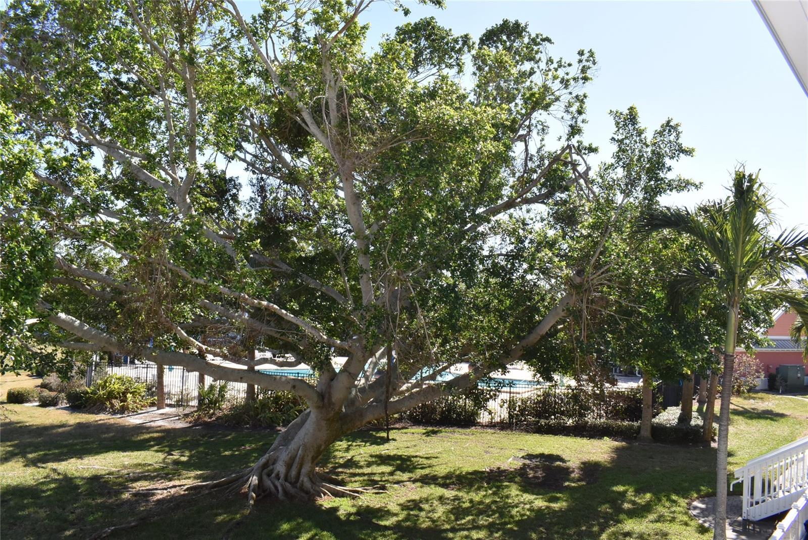 108 POMPANO DR SE #D, ST PETERSBURG, FL, 33705
