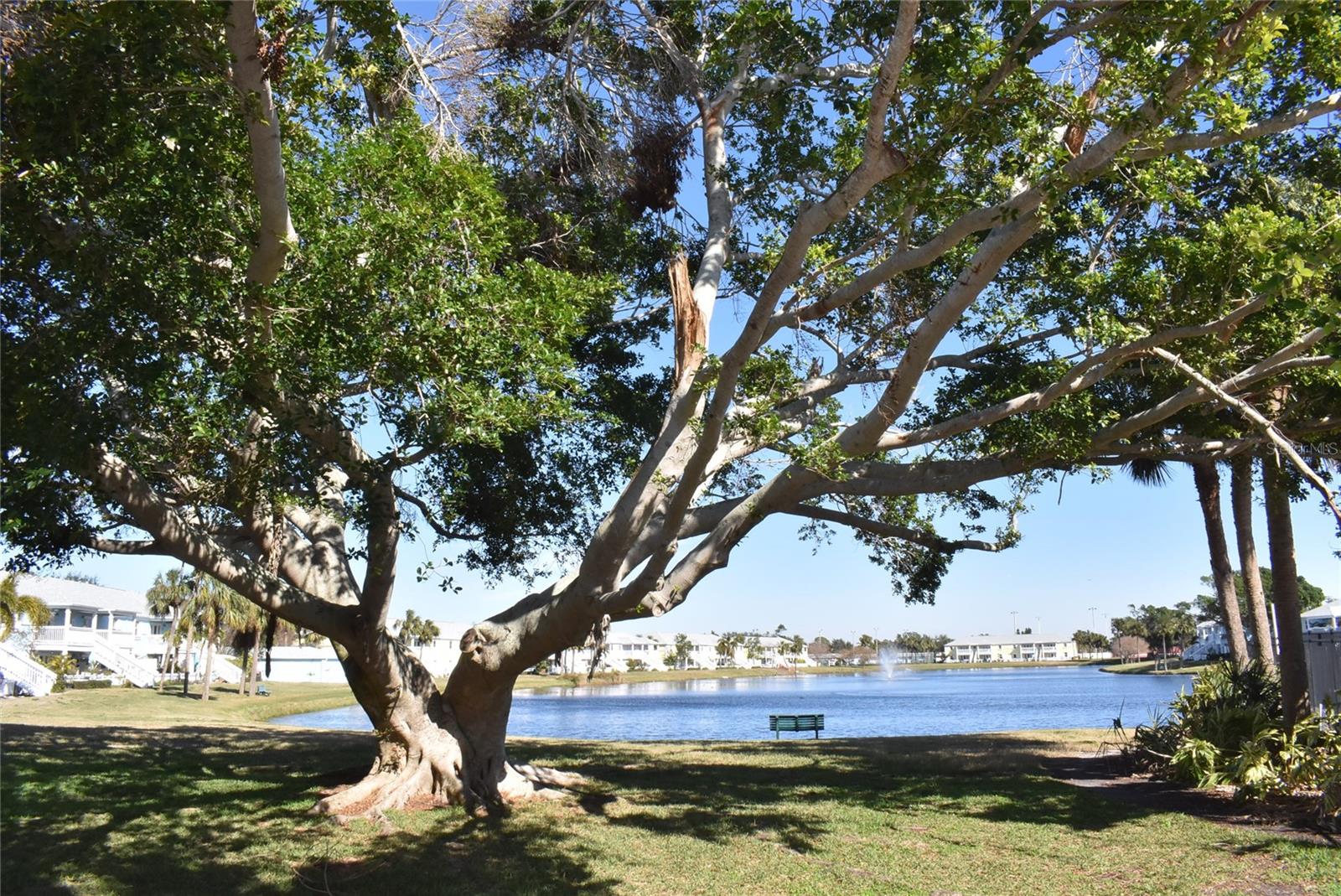 108 POMPANO DR SE #D, ST PETERSBURG, FL, 33705