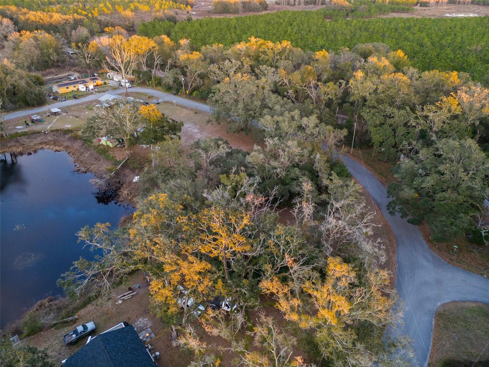ALABAMA RD, SPRING HILL, FL, 34610