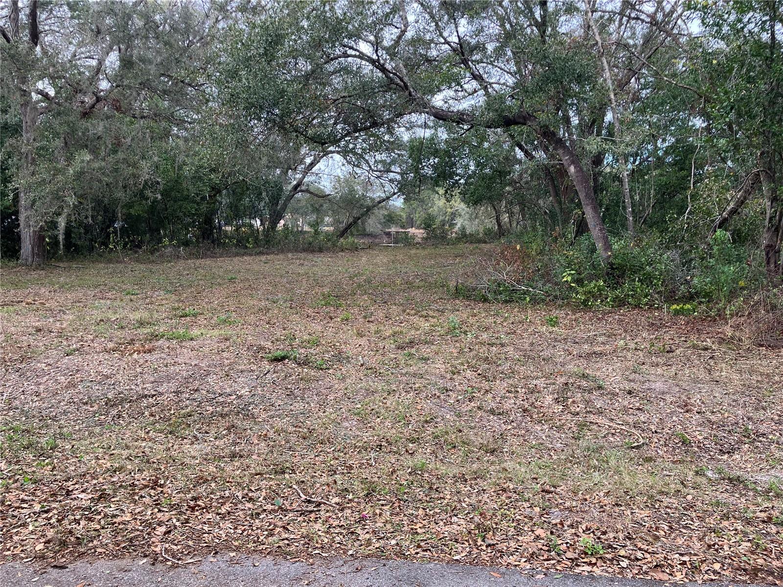 ALABAMA RD, SPRING HILL, FL, 34610