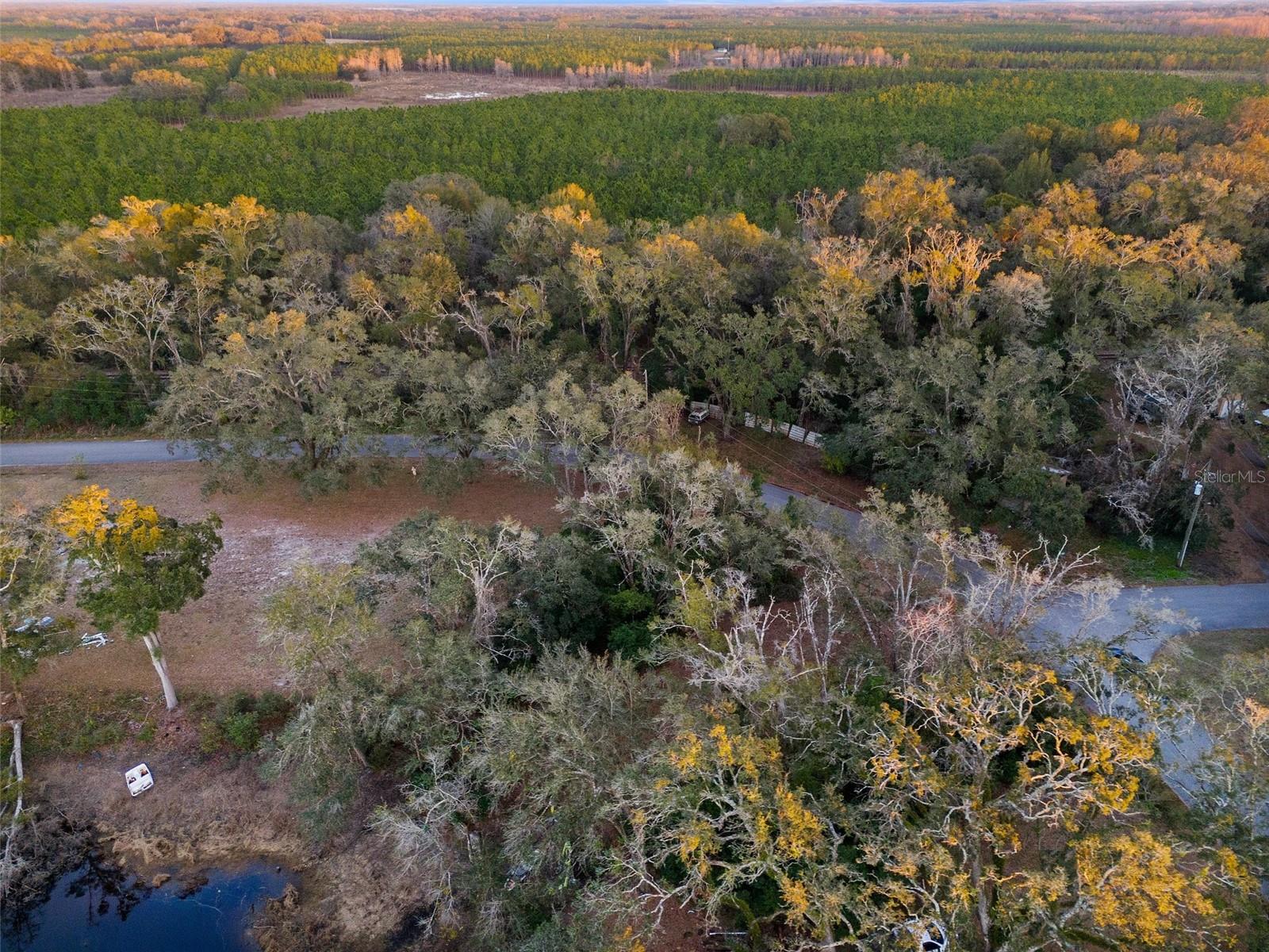 ALABAMA RD, SPRING HILL, FL, 34610