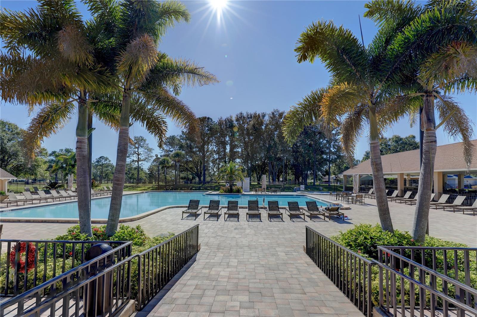 1185 WOODFIELD CT, PALM HARBOR, FL, 34684