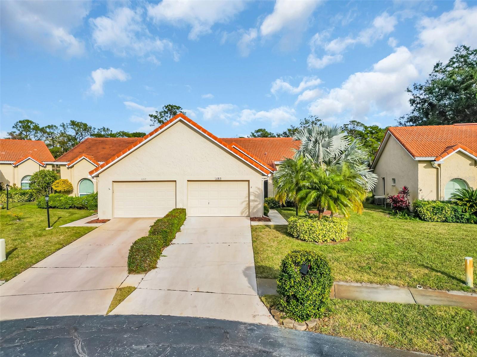 1185 WOODFIELD CT, PALM HARBOR, FL, 34684