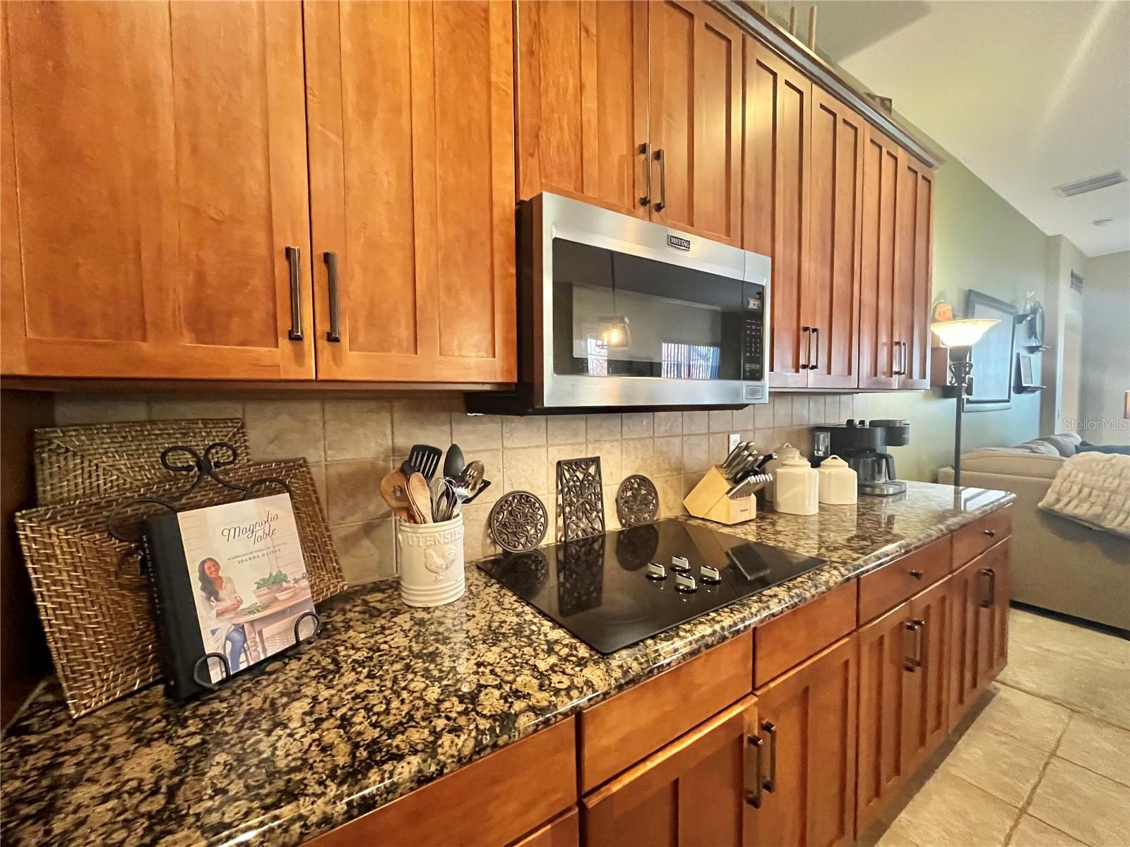 16754 IVY LAKE DR, ODESSA, FL, 33556