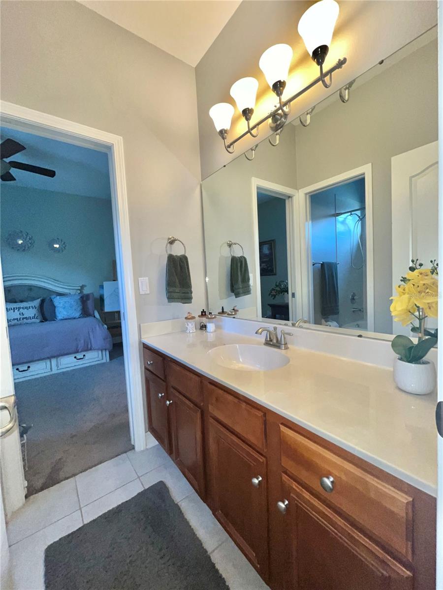 16754 IVY LAKE DR, ODESSA, FL, 33556