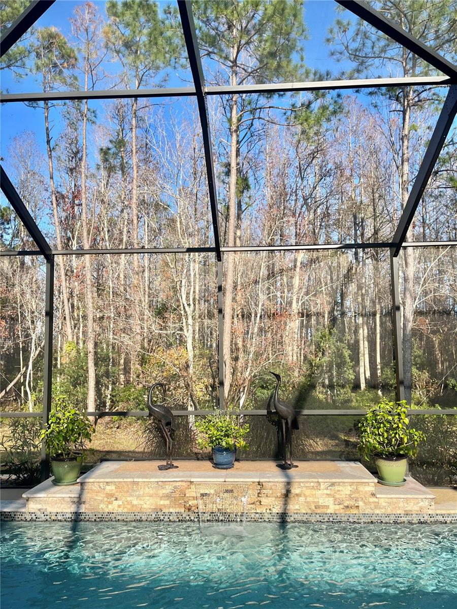 16754 IVY LAKE DR, ODESSA, FL, 33556