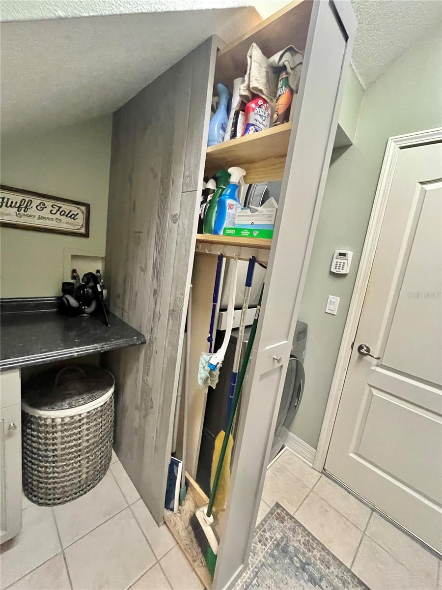 16754 IVY LAKE DR, ODESSA, FL, 33556