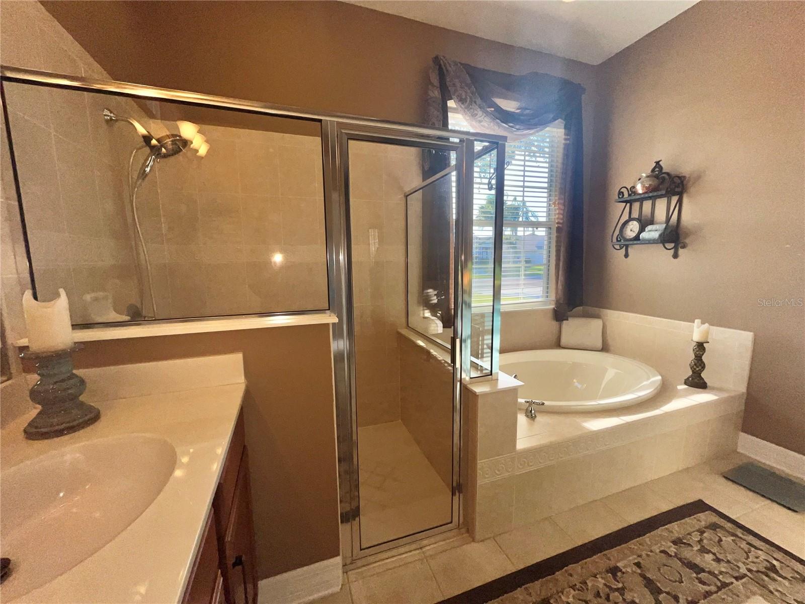 16754 IVY LAKE DR, ODESSA, FL, 33556