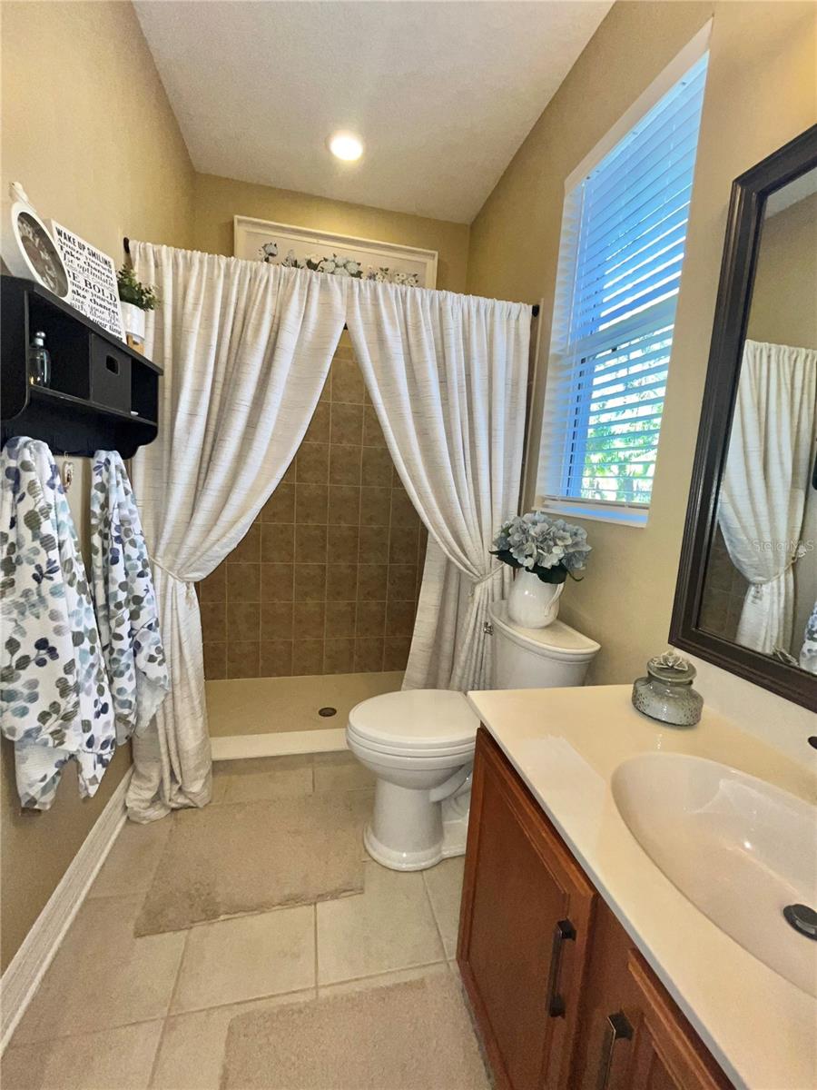16754 IVY LAKE DR, ODESSA, FL, 33556