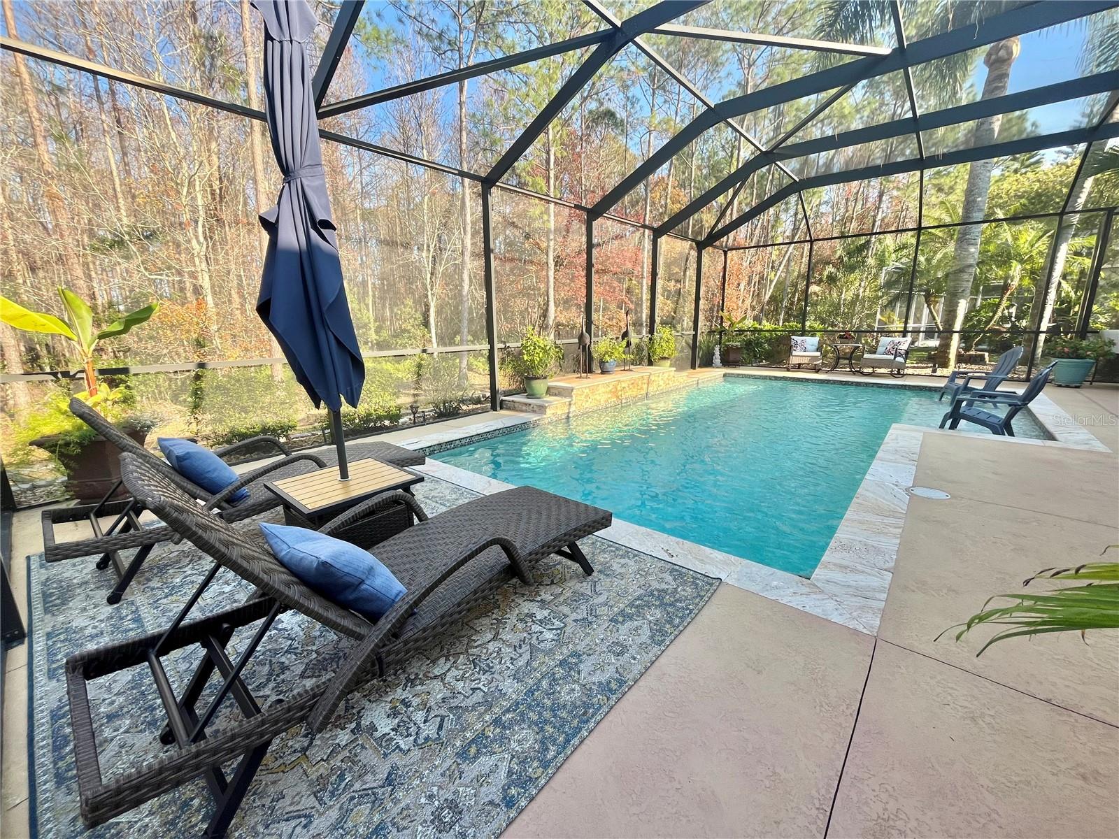 16754 IVY LAKE DR, ODESSA, FL, 33556