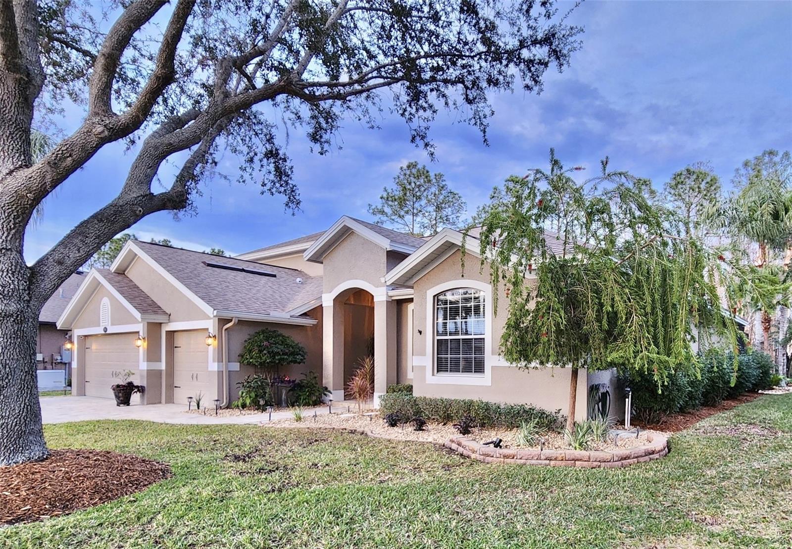 16754 IVY LAKE DR, ODESSA, FL, 33556