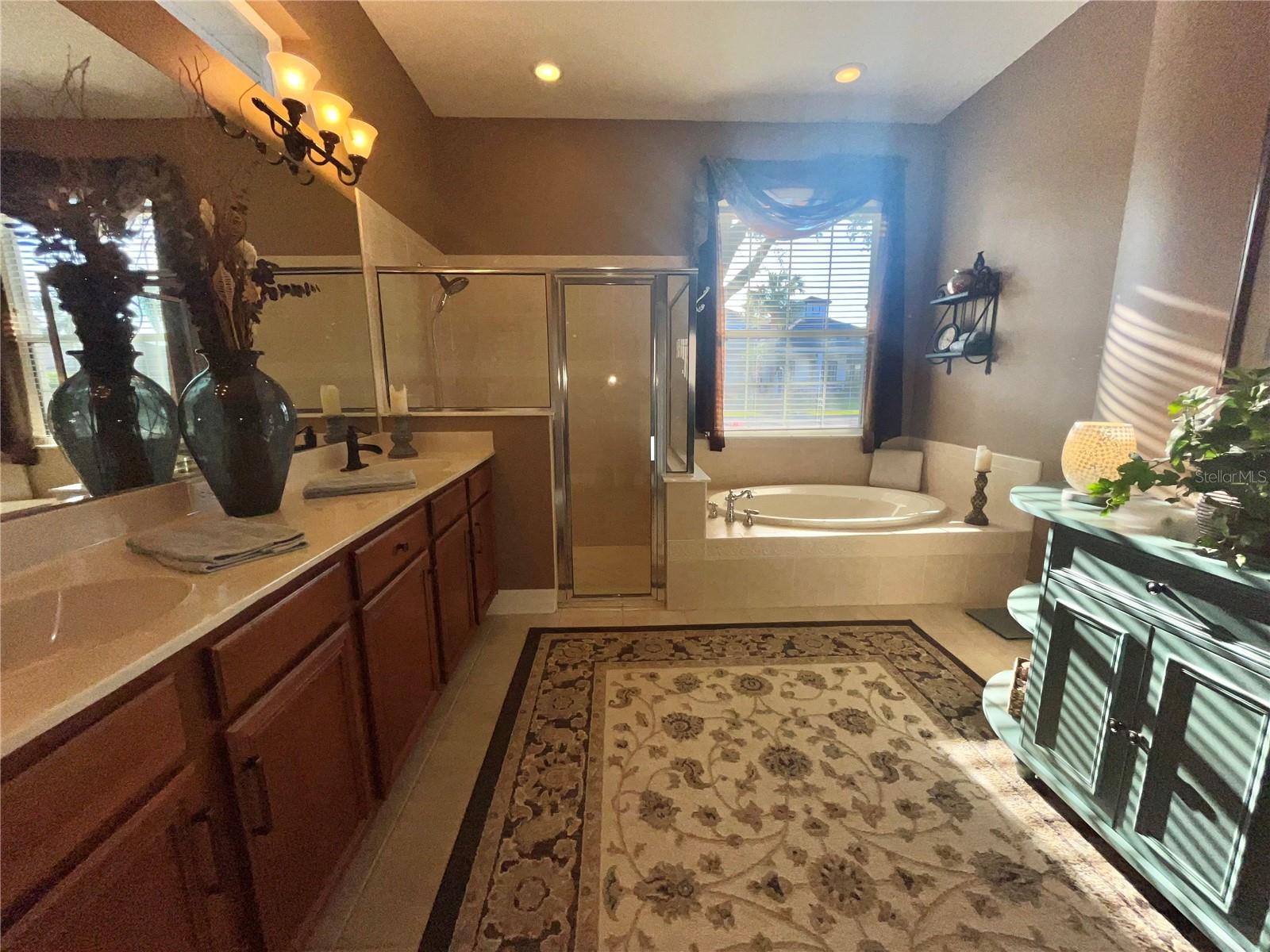 16754 IVY LAKE DR, ODESSA, FL, 33556