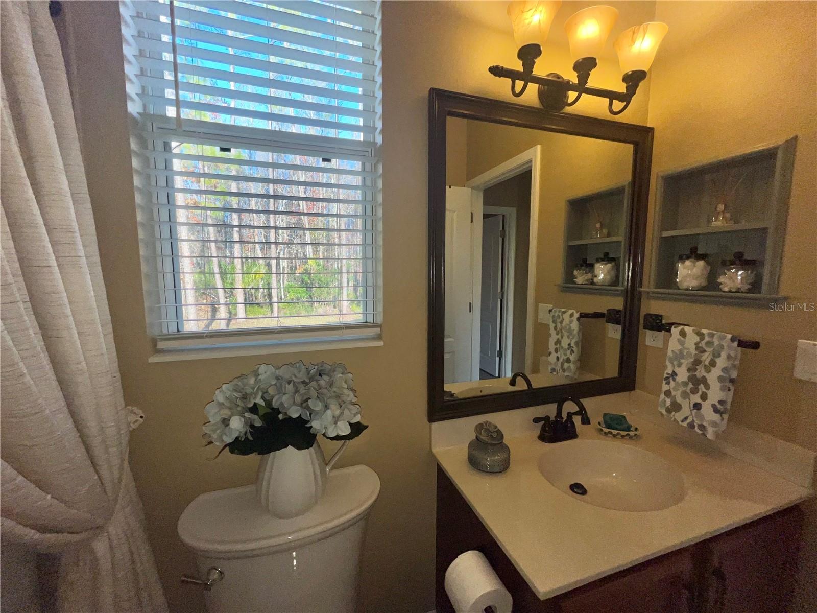 16754 IVY LAKE DR, ODESSA, FL, 33556