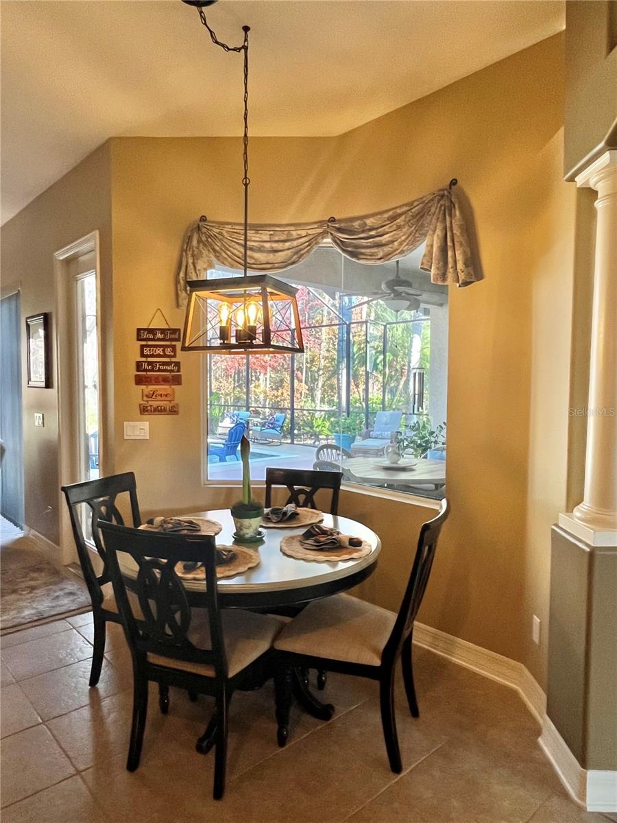 16754 IVY LAKE DR, ODESSA, FL, 33556