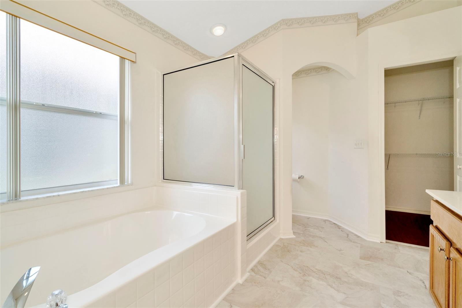 2908 BILLINGHAM DR, LAND O LAKES, FL, 34639