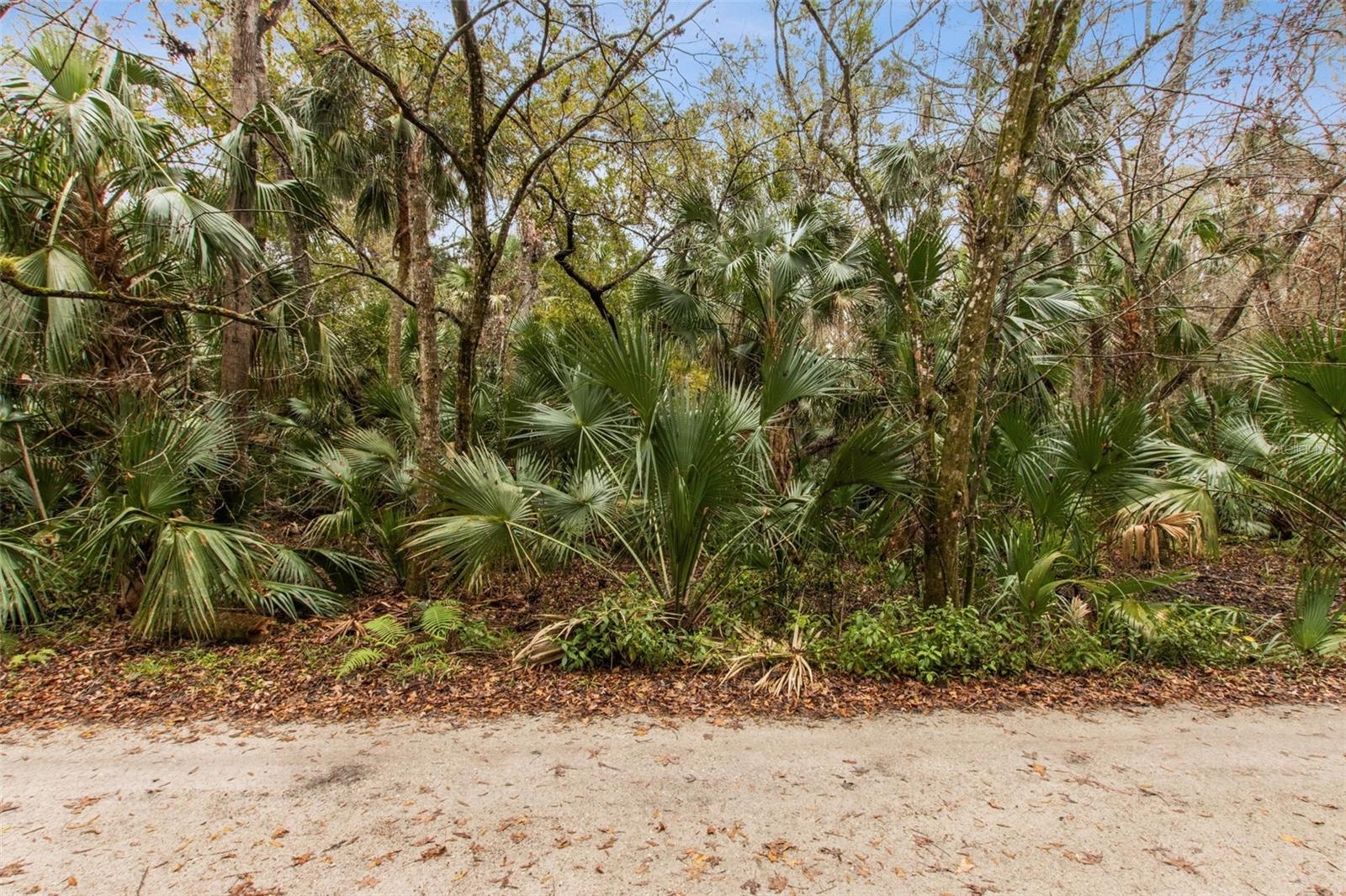 1820 TURTLE HILL RD, DELTONA, FL, 32725