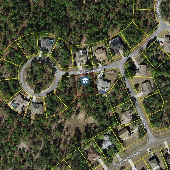 3 ELDER CT W, HOMOSASSA, FL, 34446