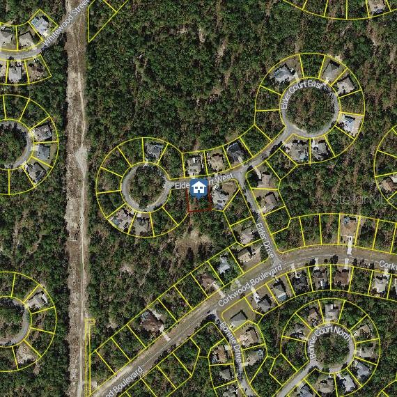 3 ELDER CT W, HOMOSASSA, FL, 34446