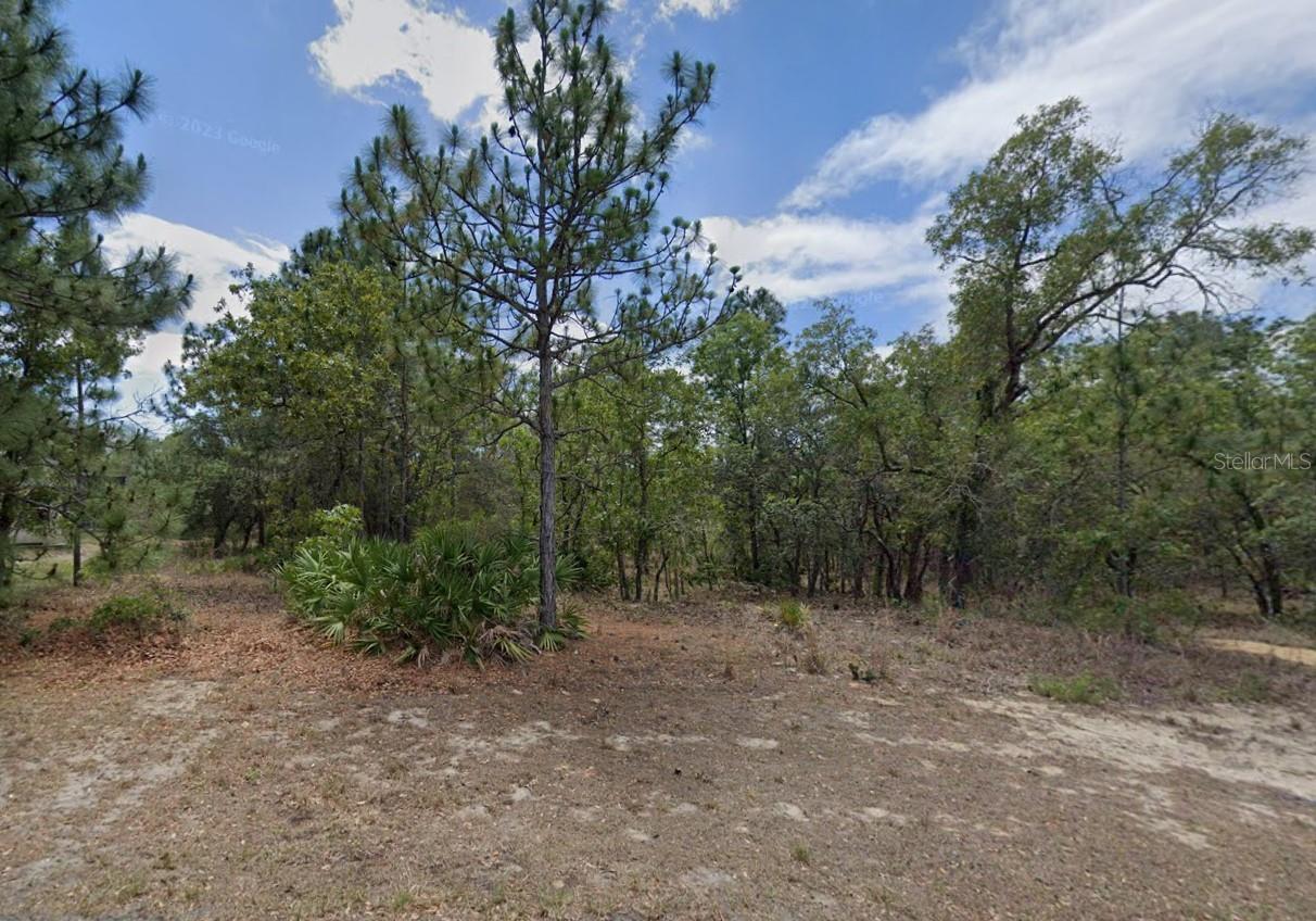3 ELDER CT W, HOMOSASSA, FL, 34446