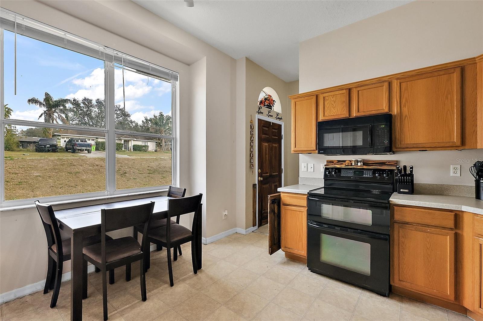 16029 WORTHINGTON BLVD N, MASCOTTE, FL, 34753