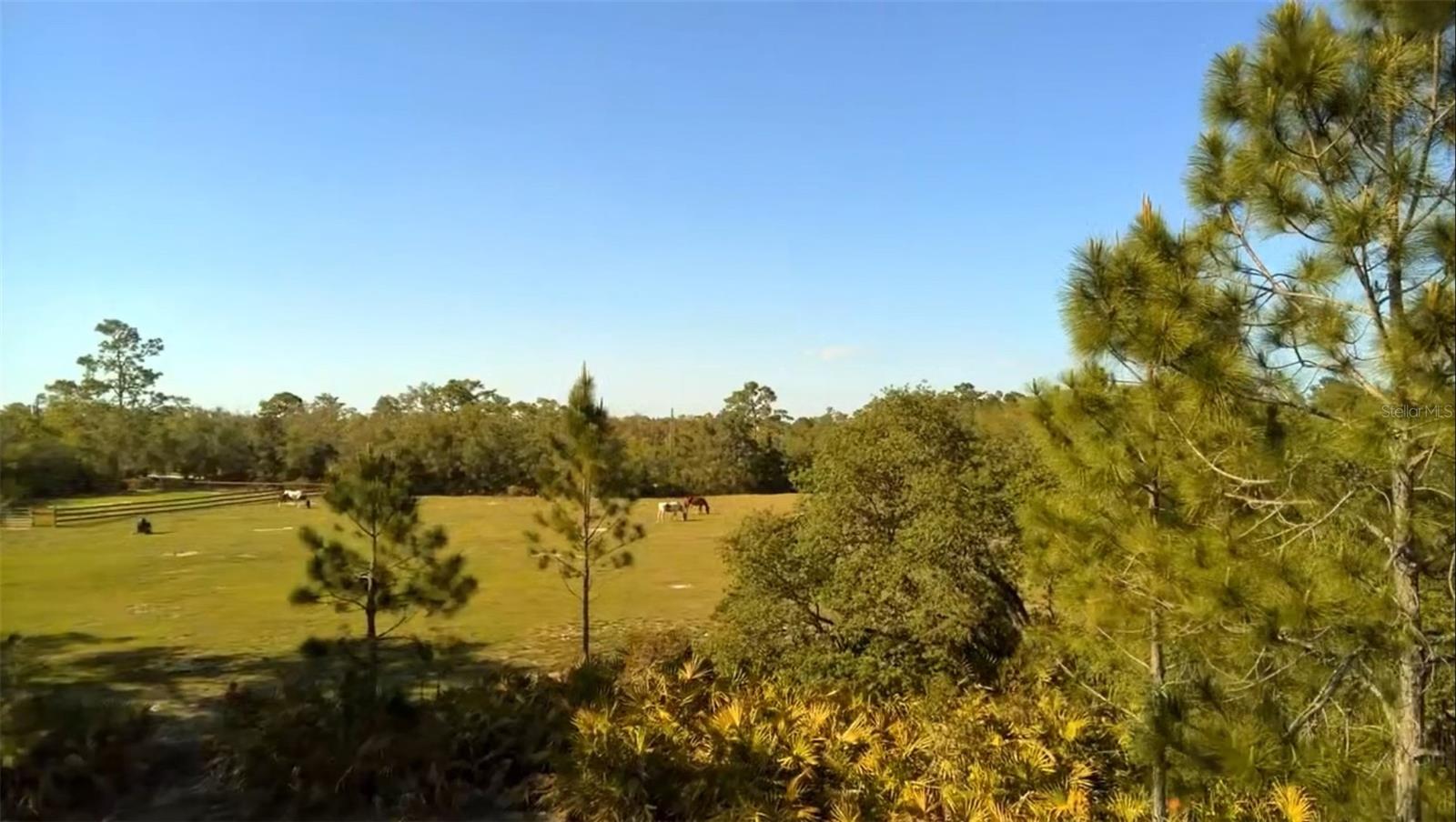 2772 INDIAN PIPES TRL, FROSTPROOF, FL, 33843