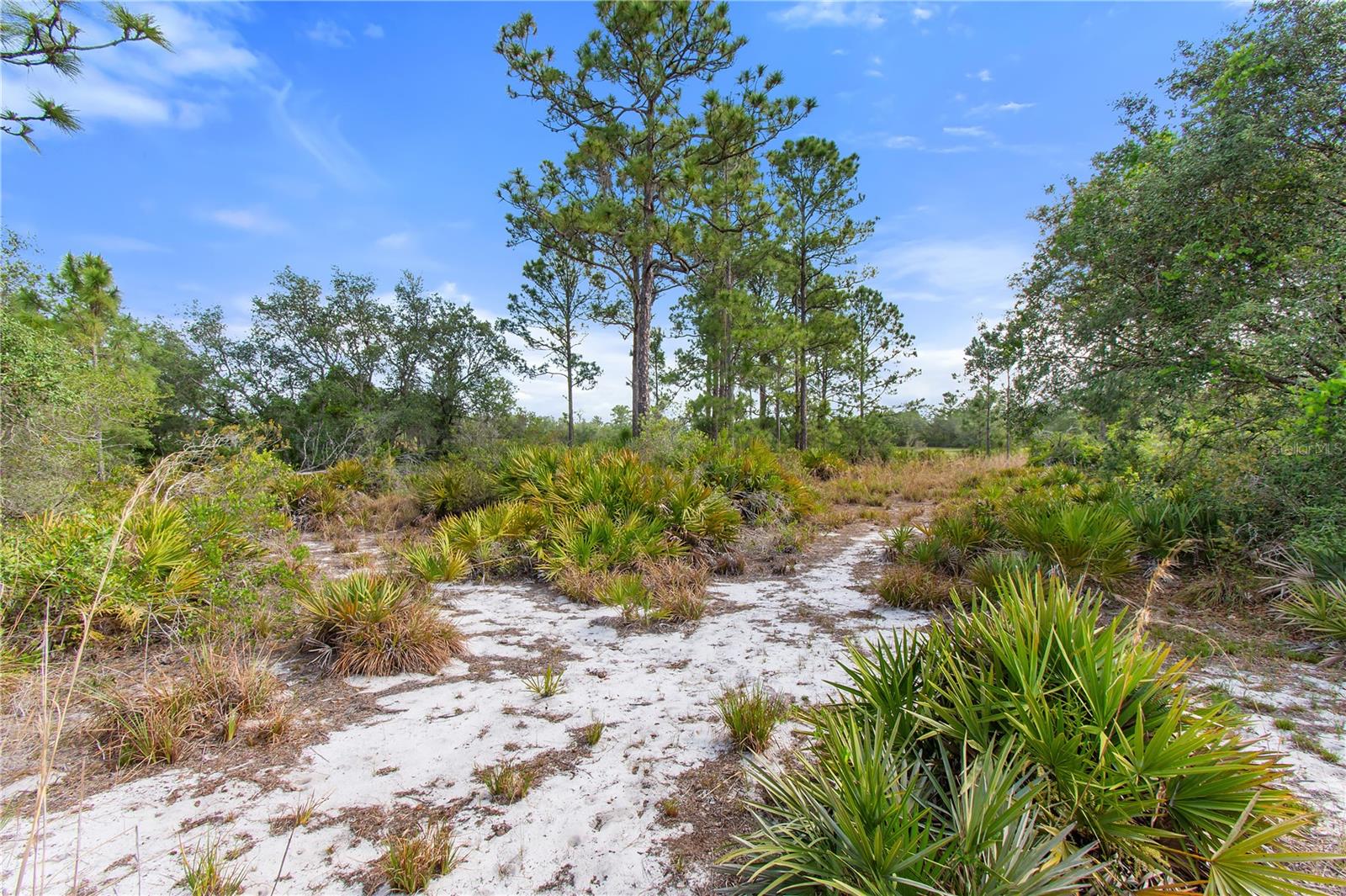 2772 INDIAN PIPES TRL, FROSTPROOF, FL, 33843