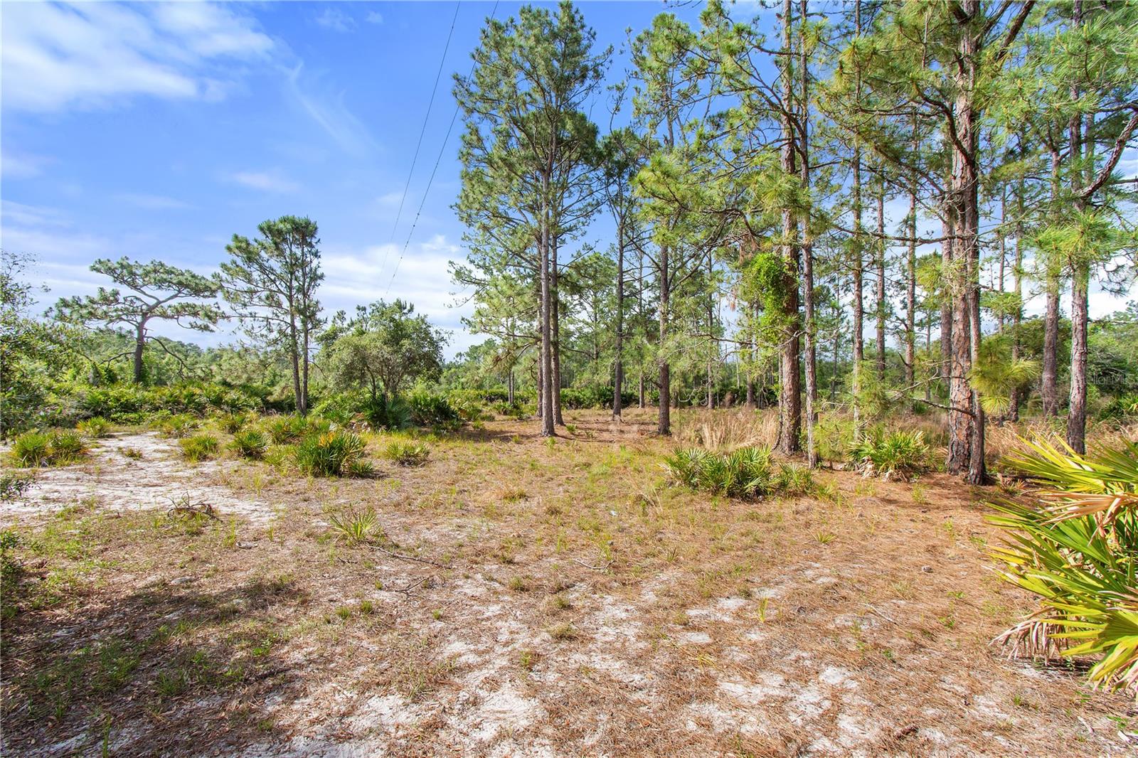 2772 INDIAN PIPES TRL, FROSTPROOF, FL, 33843