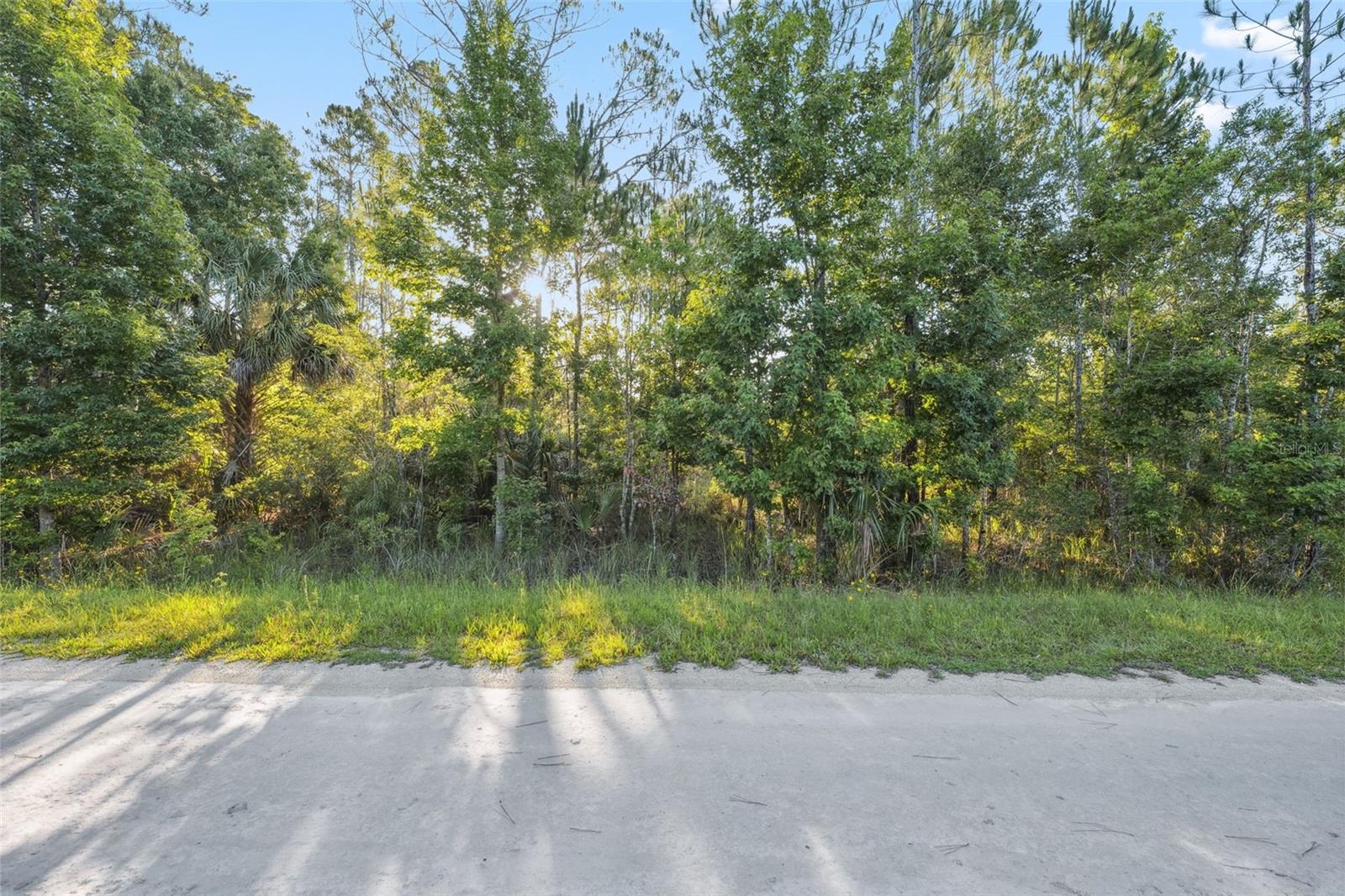 0 RAMSEY RD, WEEKI WACHEE, FL, 34614