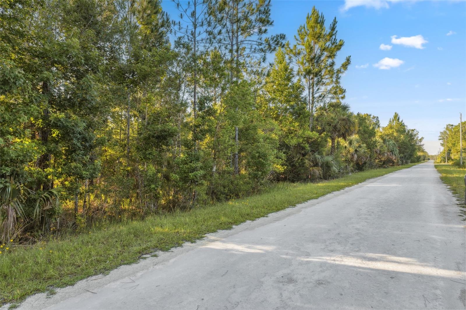 0 RAMSEY RD, WEEKI WACHEE, FL, 34614