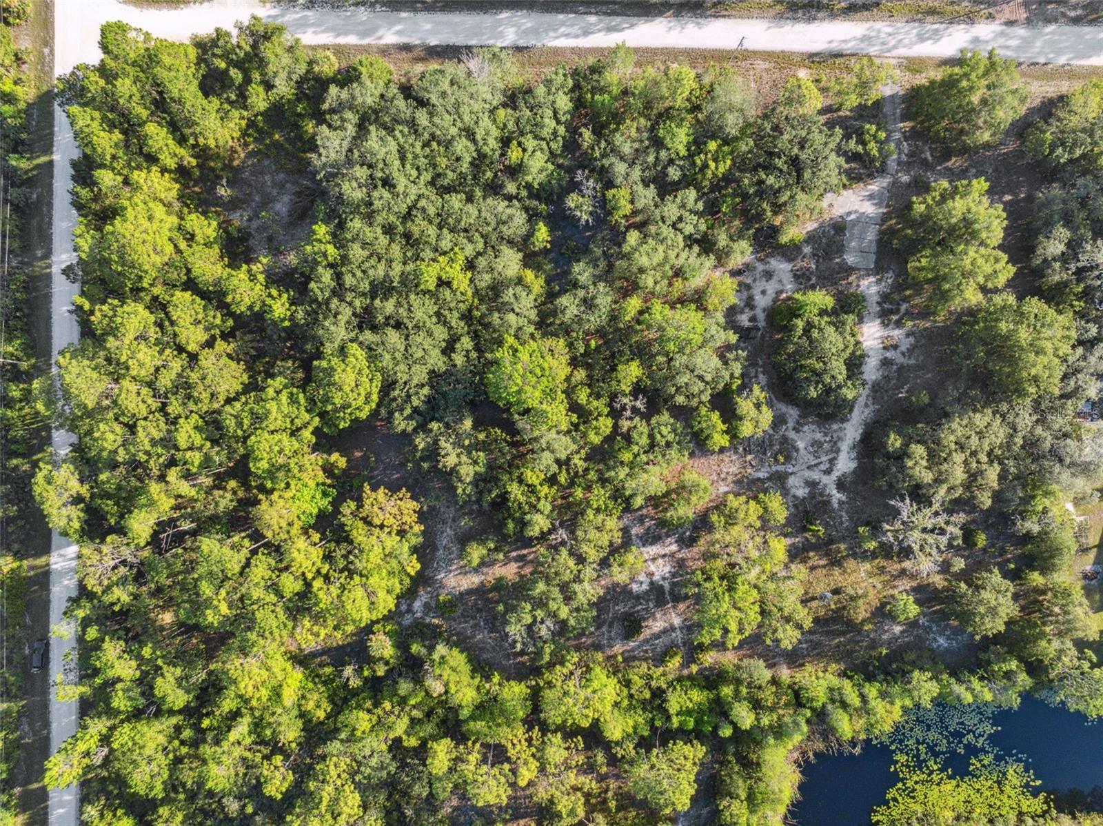 0 RAMSEY RD, WEEKI WACHEE, FL, 34614