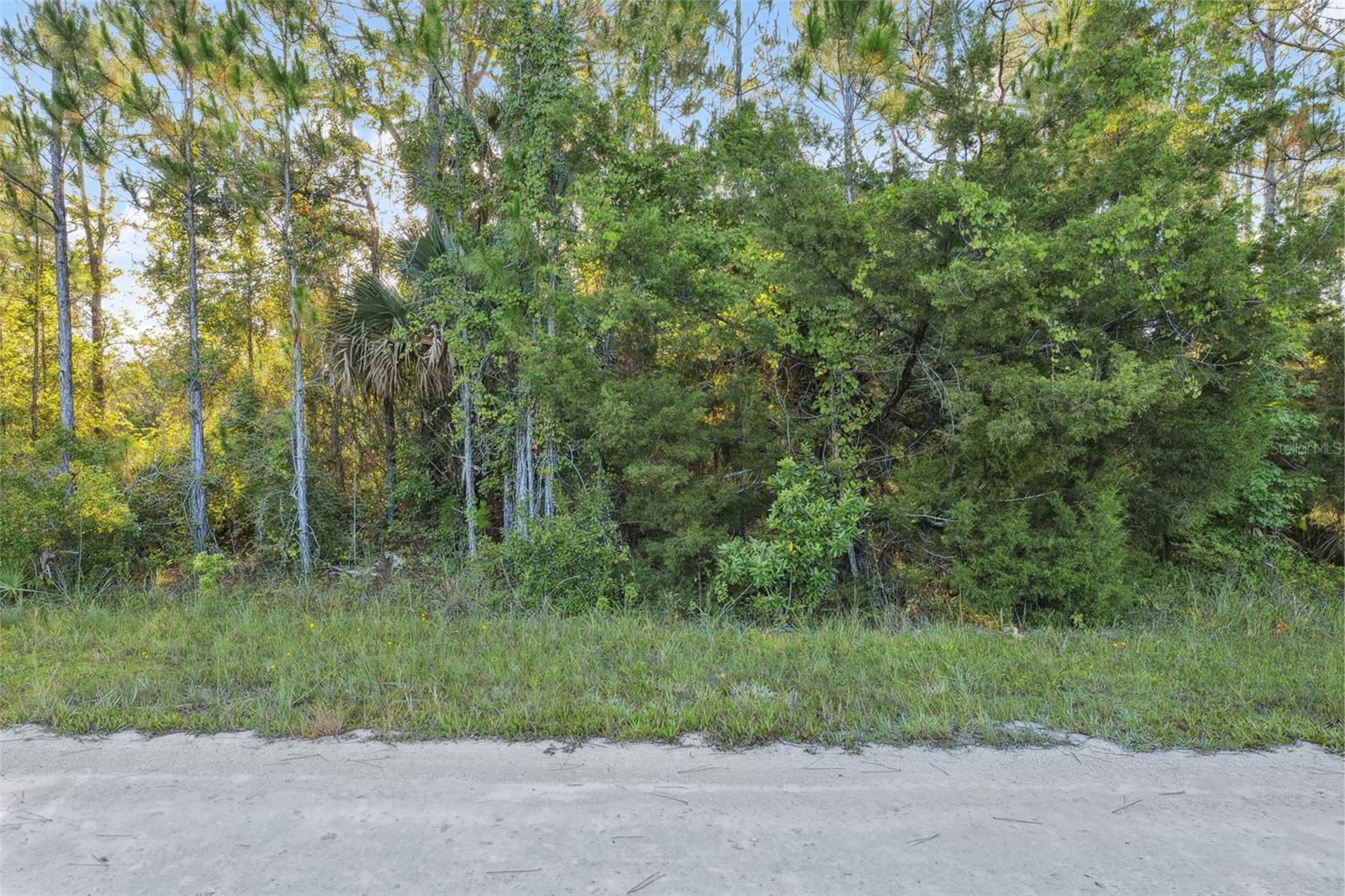 0 RAMSEY RD, WEEKI WACHEE, FL, 34614