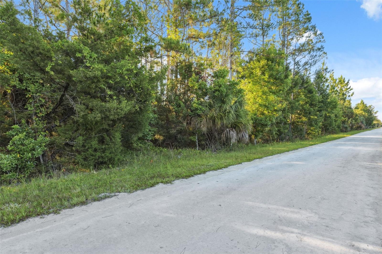 0 RAMSEY RD, WEEKI WACHEE, FL, 34614