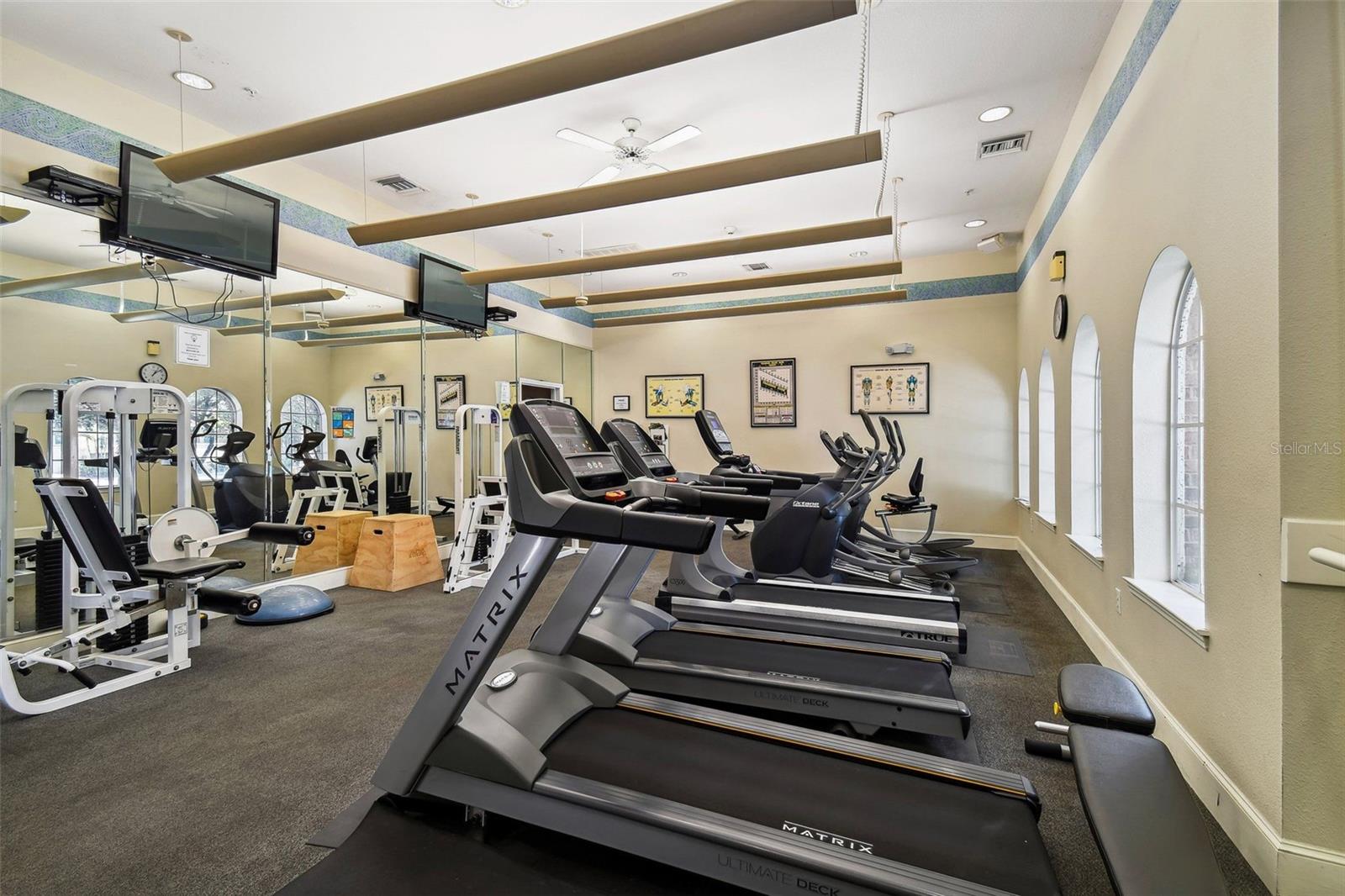 501 KNIGHTS RUN AVE #2214, TAMPA, FL, 33602