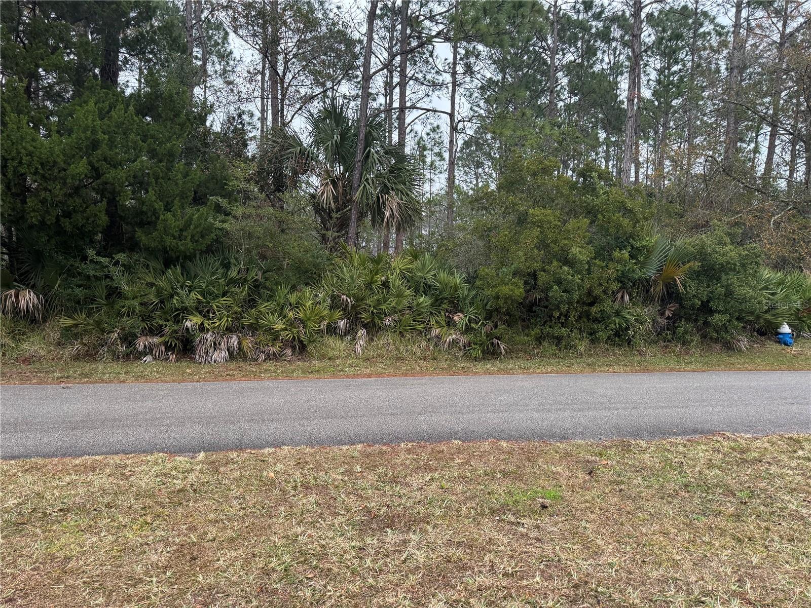 10 UNION RUN CT, PALM COAST, FL, 32164