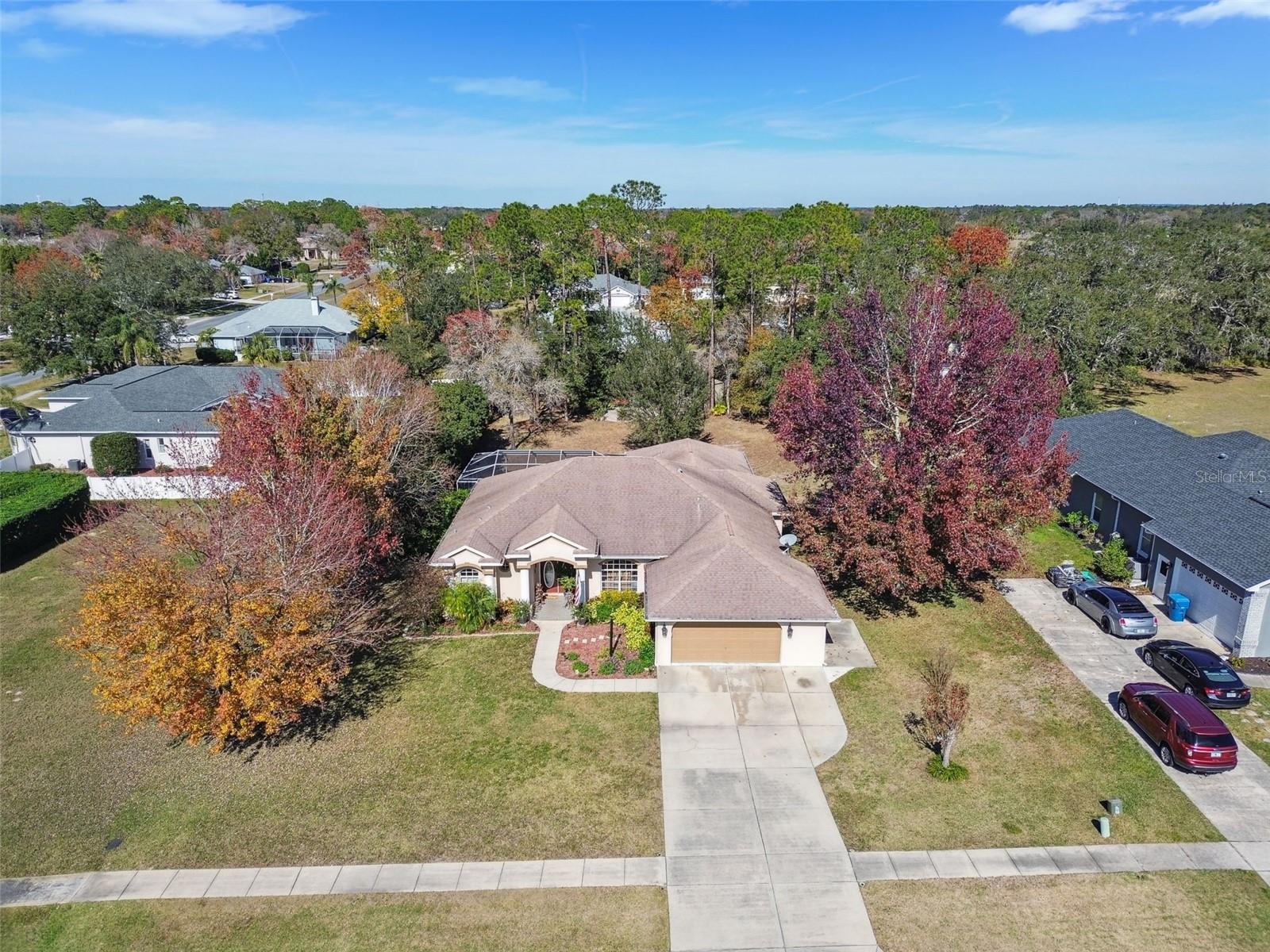 12031 SAPPHIRE DR, SPRING HILL, FL, 34609
