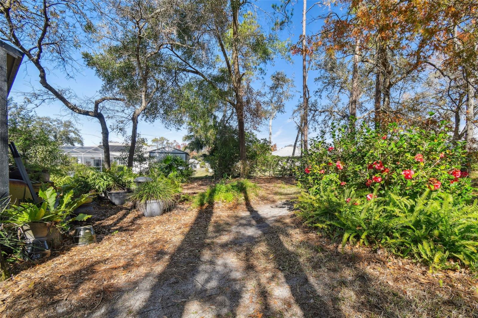 12031 SAPPHIRE DR, SPRING HILL, FL, 34609