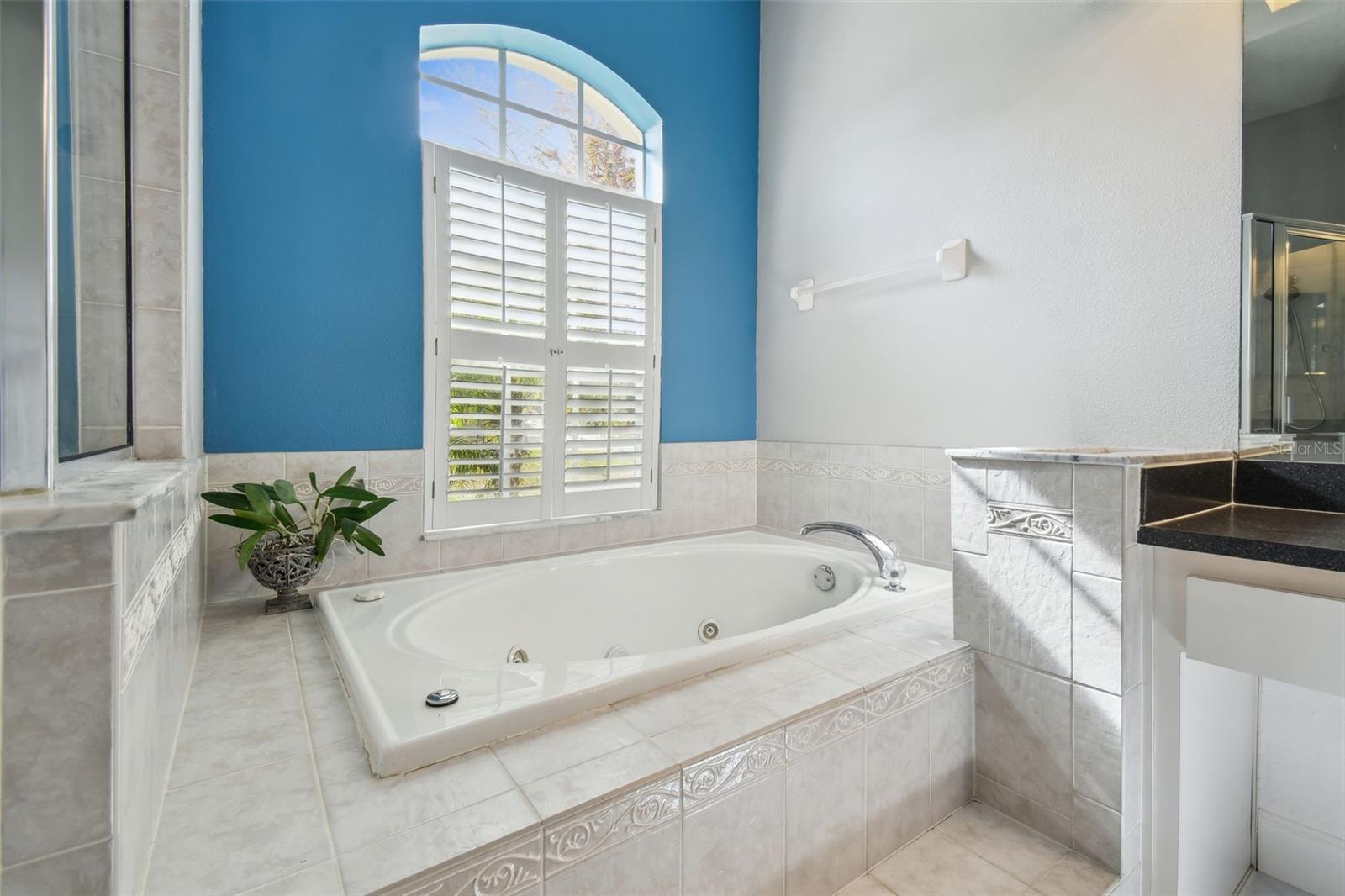 12031 SAPPHIRE DR, SPRING HILL, FL, 34609