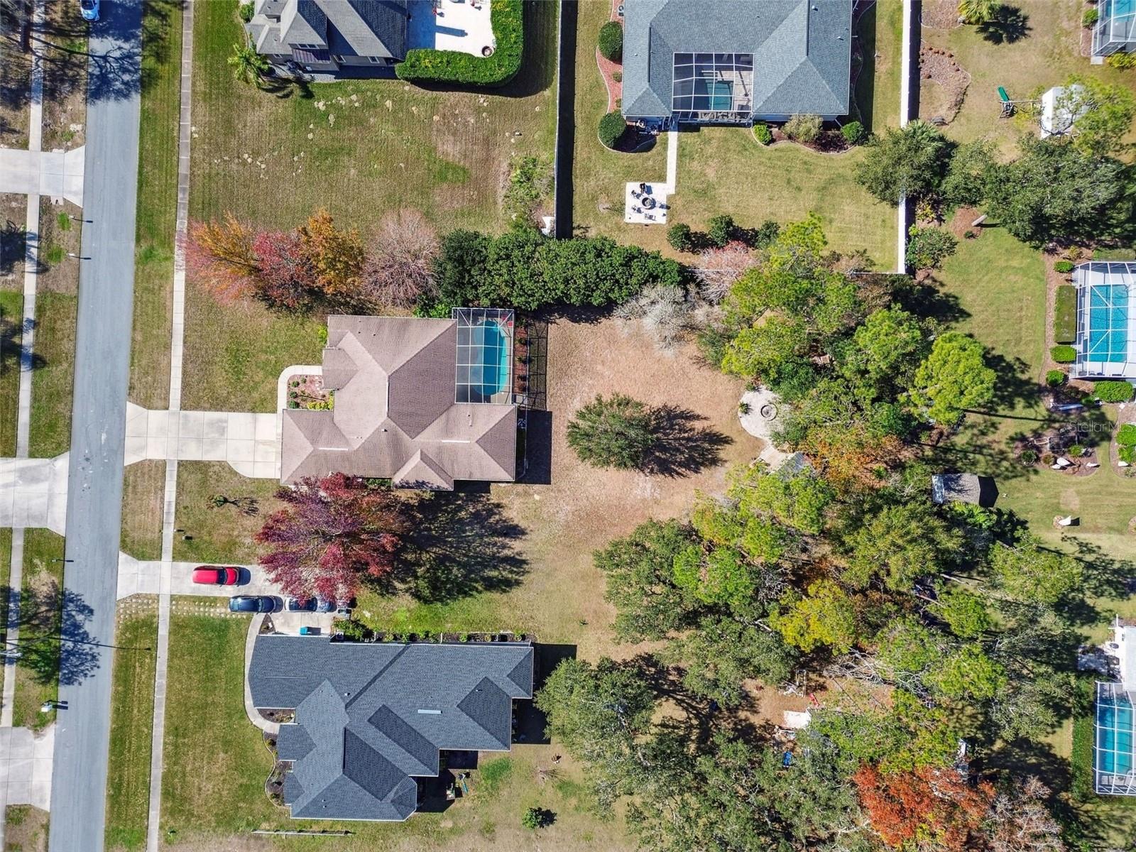 12031 SAPPHIRE DR, SPRING HILL, FL, 34609