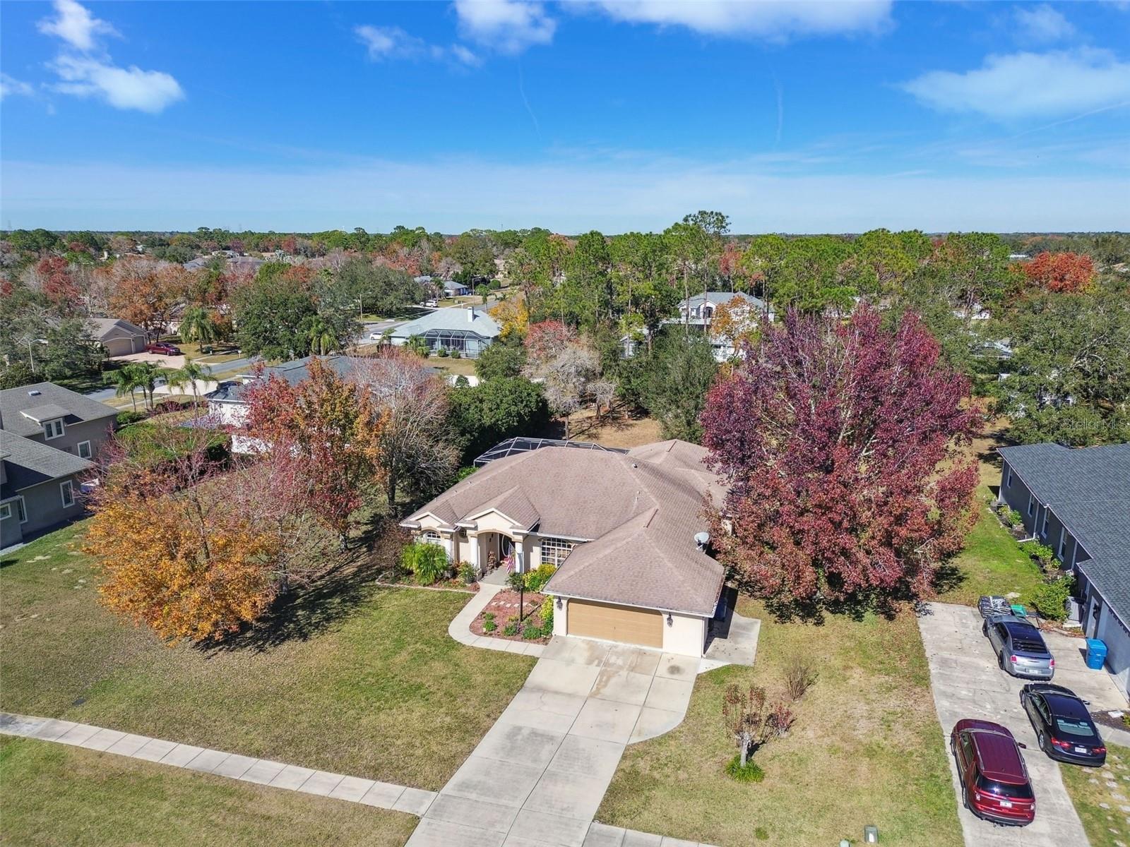 12031 SAPPHIRE DR, SPRING HILL, FL, 34609