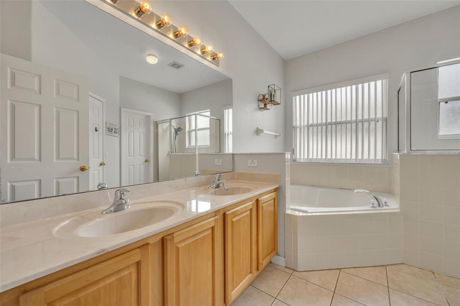 1461 TEAL DR, KISSIMMEE, FL, 34759