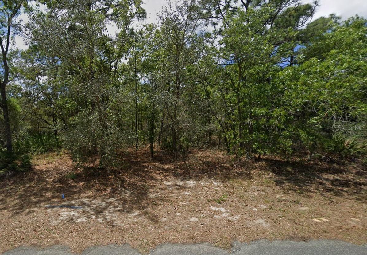 6 ELDER DR, HOMOSASSA, FL, 34446
