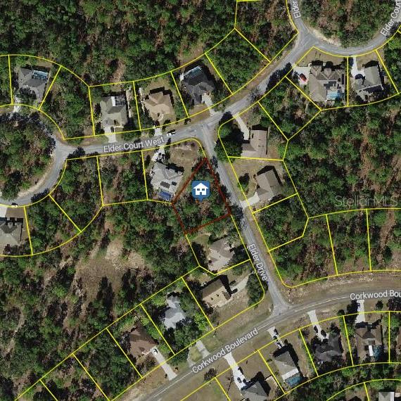 6 ELDER DR, HOMOSASSA, FL, 34446