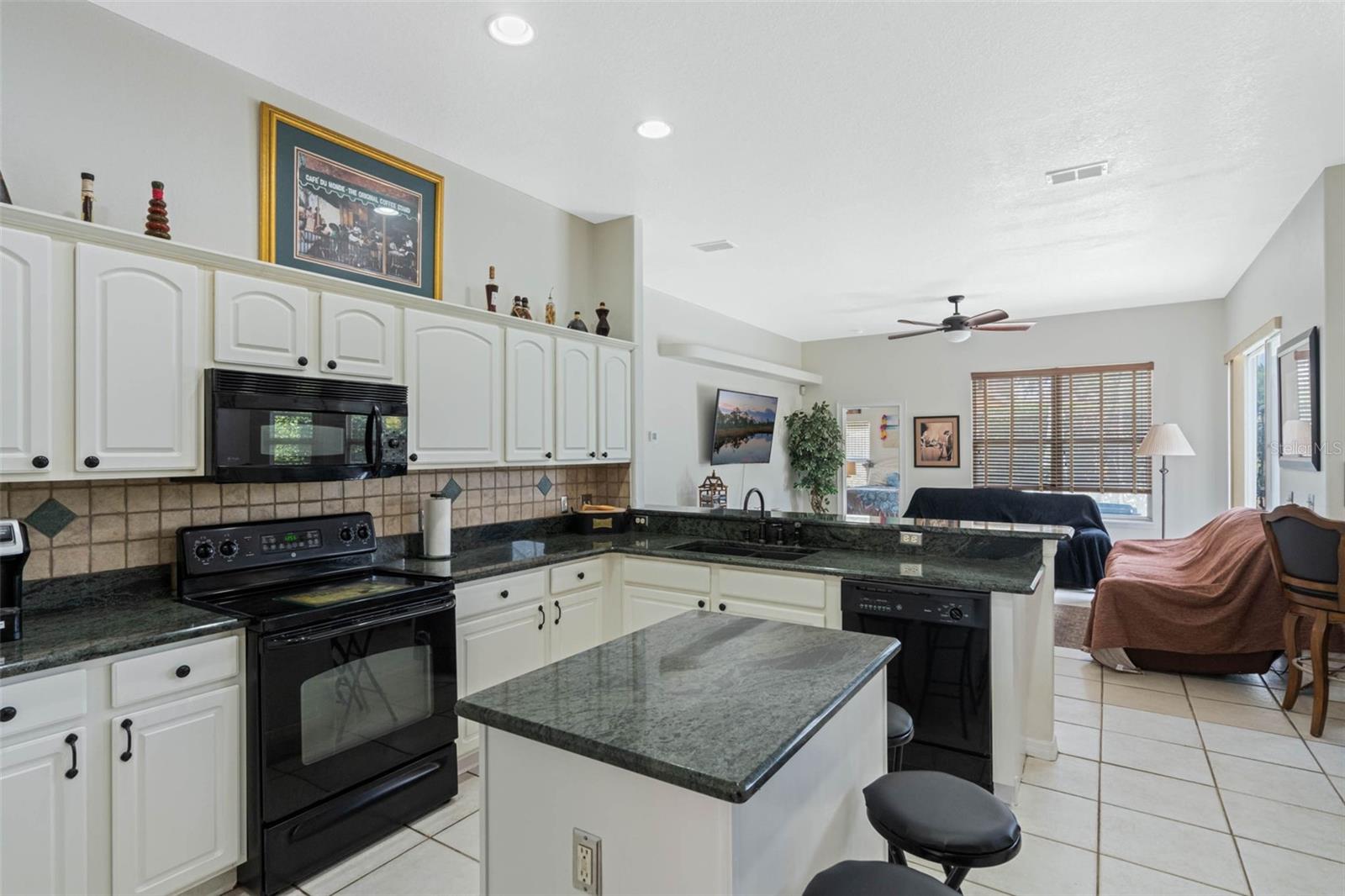 14101 VISTA DEL LAGO BLVD, CLERMONT, FL, 34711